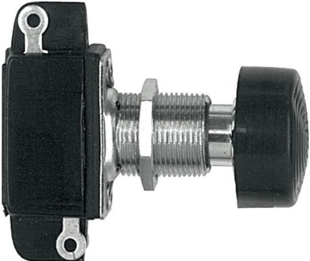 Picture of Proel Pedal Spare Push Switch 2 Pole