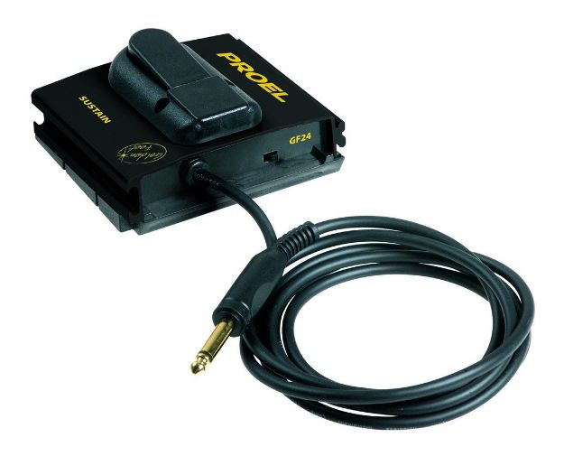 Picture of Instrument Control Pedal Sustain Unlatching Cable
