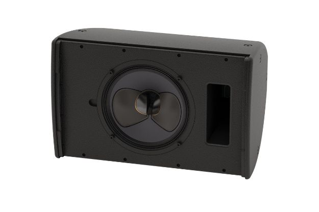 Picture of Martin 10" CDD Speaker 250W AES 1000W peak BLACK