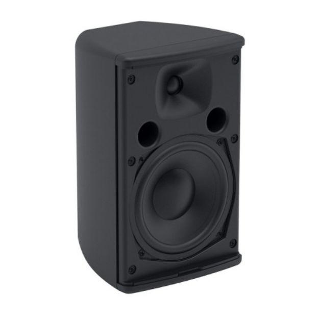 Picture of Martin ADORN 5.25" Speaker 50 Watt AES 16 Ohm BLACK
