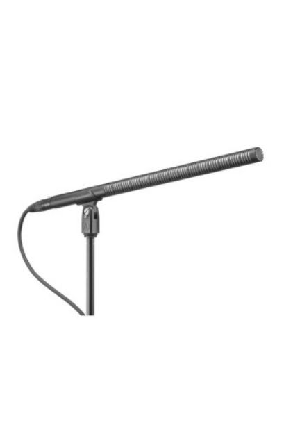 Picture of BP4071 Shotgun Mic Condenser Line+Gradient 15.55"